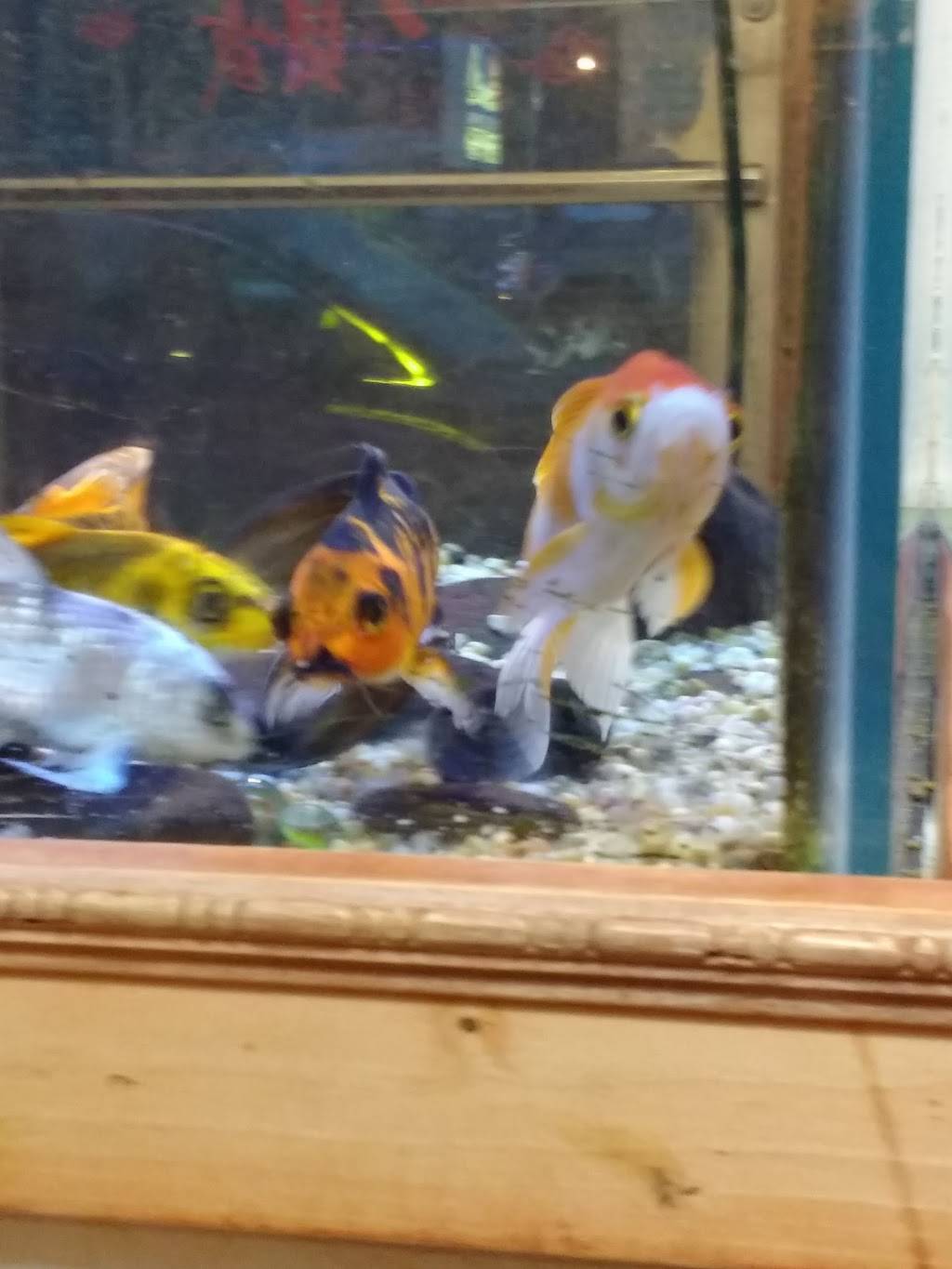 Great Wall | restaurant | 1414 Pocono Blvd, Mt Pocono, PA 18344, USA | 5708397007 OR +1 570-839-7007