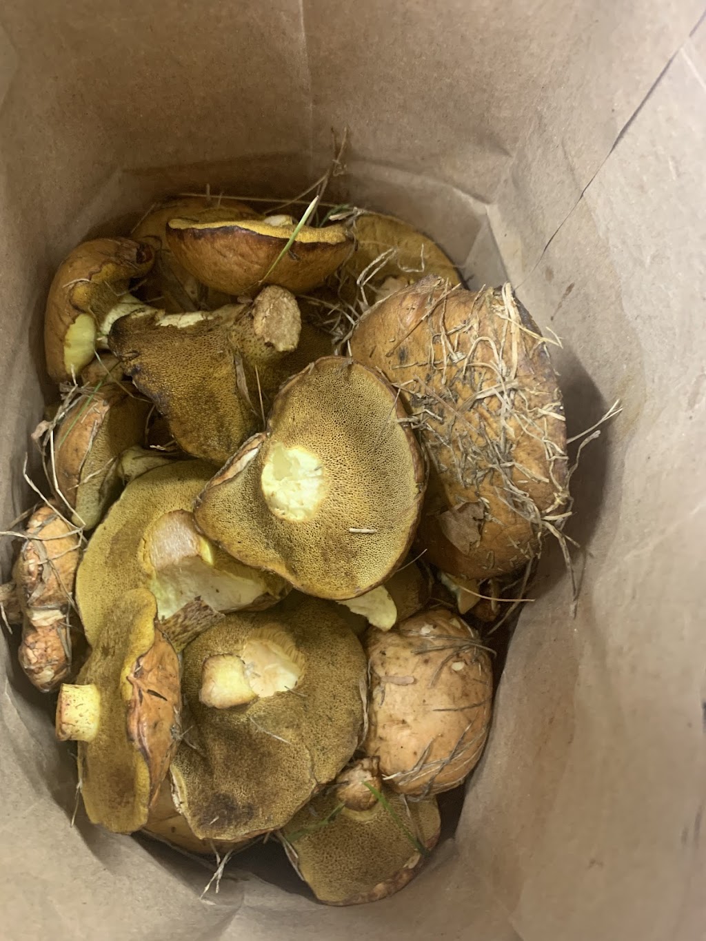 Miss Kathys Restaurant on 5th | restaurant | 1412 S 5th St, Philadelphia, PA 19147, USA | 2153002819 OR +1 215-300-2819