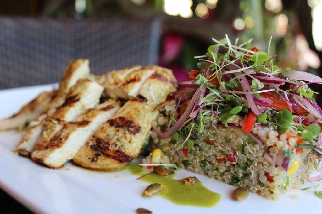 Jaguar Latin-American Kitchen | restaurant | 3067 Grand Ave, Miami, FL 33133, USA | 3054440216 OR +1 305-444-0216