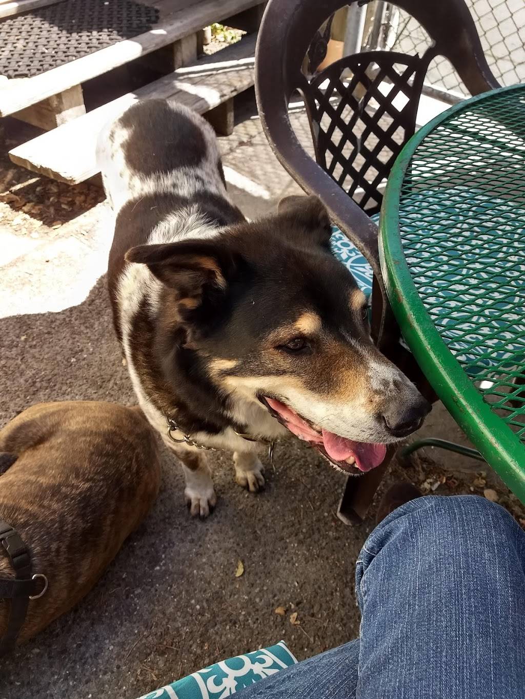 Duffys Tavern & Family Restaurant | restaurant | 282 High St, Monterey, CA 93940, USA | 8316449811 OR +1 831-644-9811