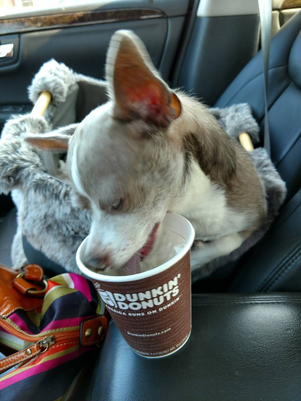 Dunkin | bakery | 442 IL-47, Sugar Grove, IL 60554, USA | 3312270044 OR +1 331-227-0044