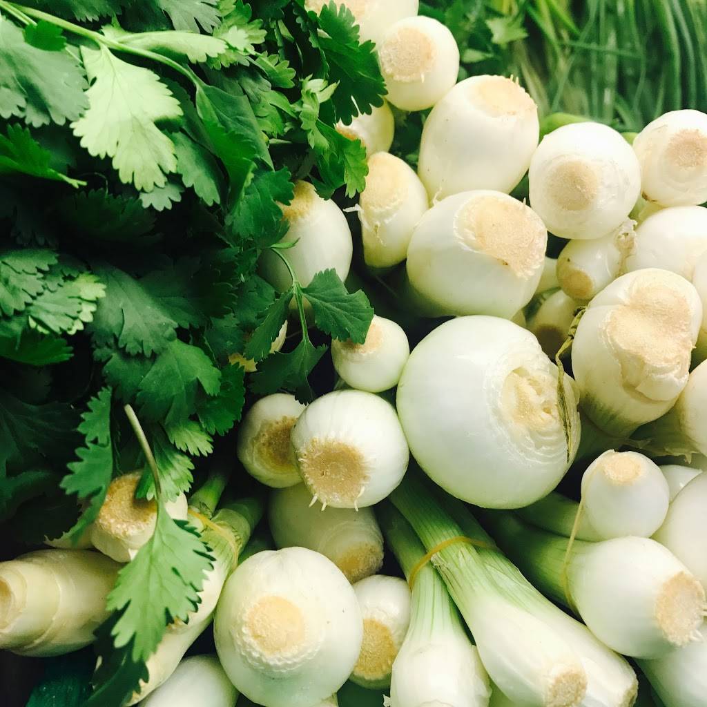 El Rey Meat Market | restaurant | 2430 Airline Dr, Houston, TX 77009, USA | 8328308090 OR +1 832-830-8090