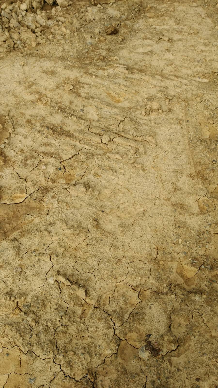 Subway | restaurant | 1799 Pearl Rd, Brunswick, OH 44212, USA | 3302257980 OR +1 330-225-7980