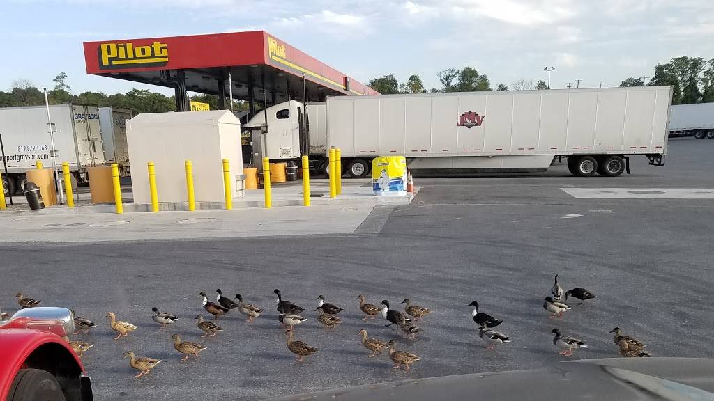Pilot Travel Center | restaurant | 16921 Halfway Blvd, Hagerstown, MD 21740, USA | 3015826111 OR +1 301-582-6111