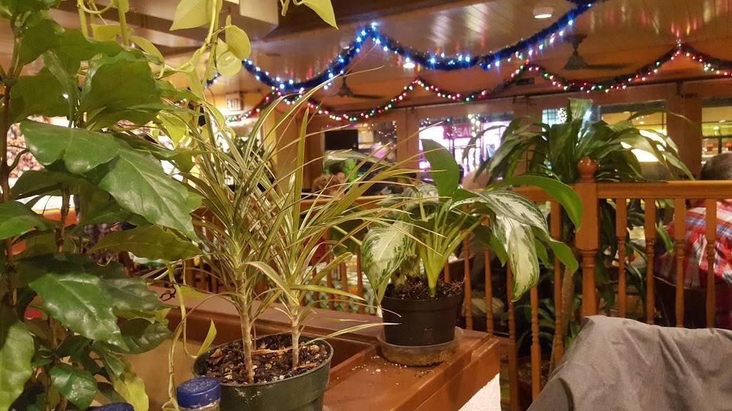 La Cocina & Cantina | restaurant | 432 Broadway E, Seattle, WA 98102, USA | 2063231675 OR +1 206-323-1675