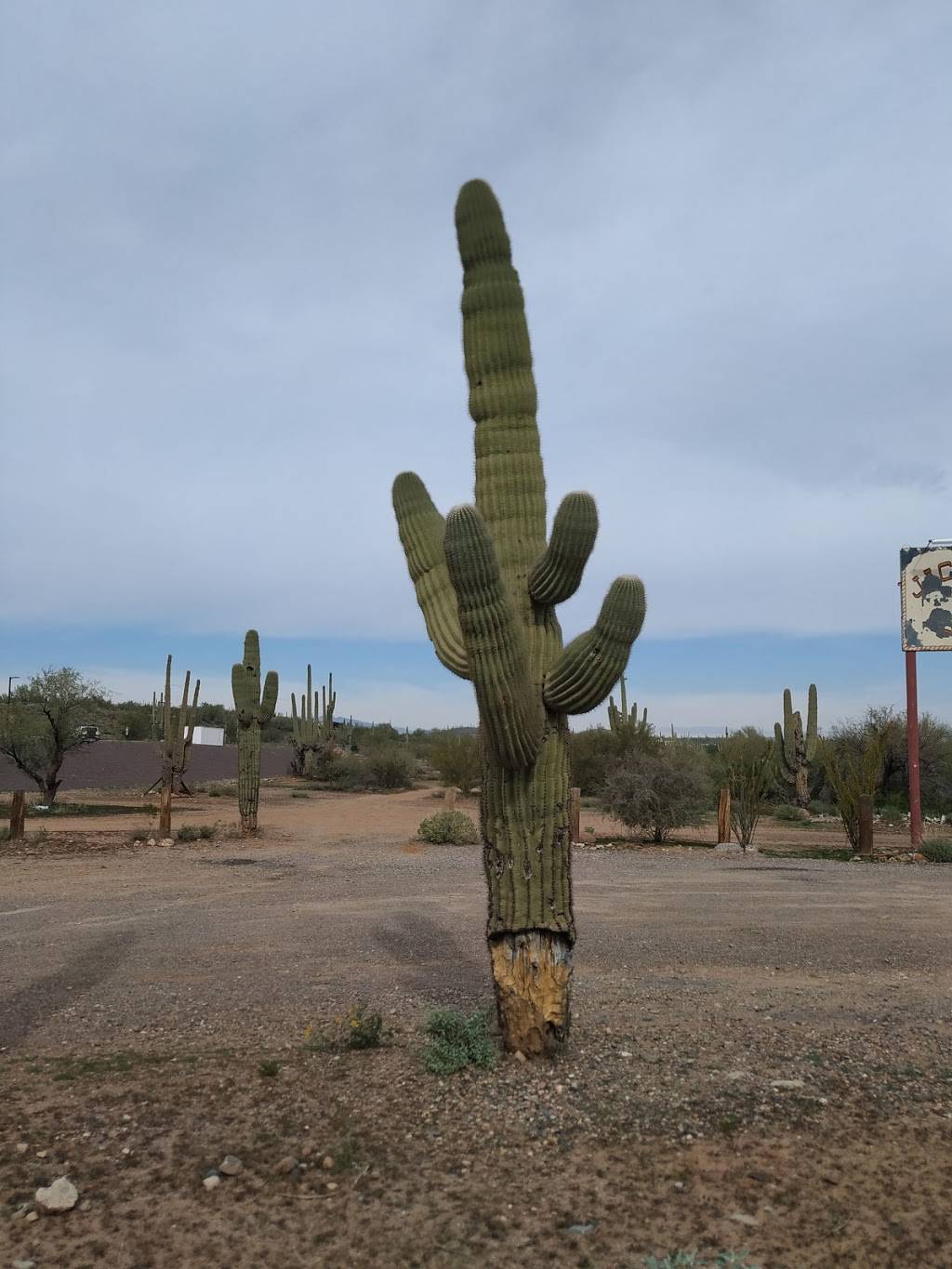 Subway Restaurants | restaurant | 3906 W New River Rd, New River, AZ 85087, USA | 6234657139 OR +1 623-465-7139