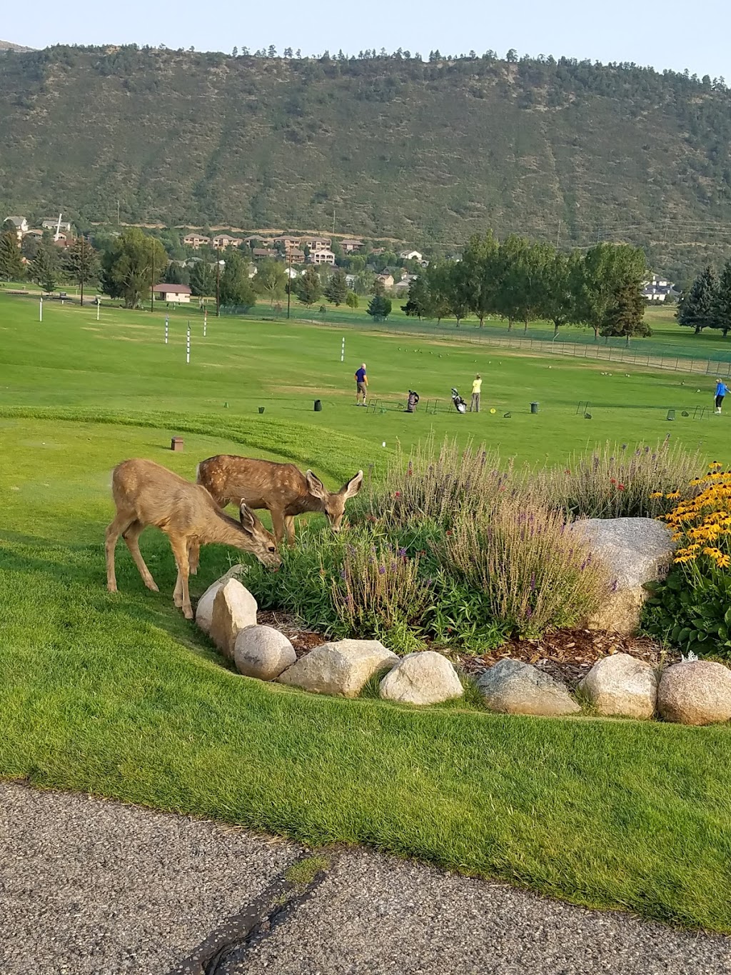 Hillcrest Golf Club | restaurant | 2300 Rim Dr, Durango, CO 81301, USA | 9702471499 OR +1 970-247-1499