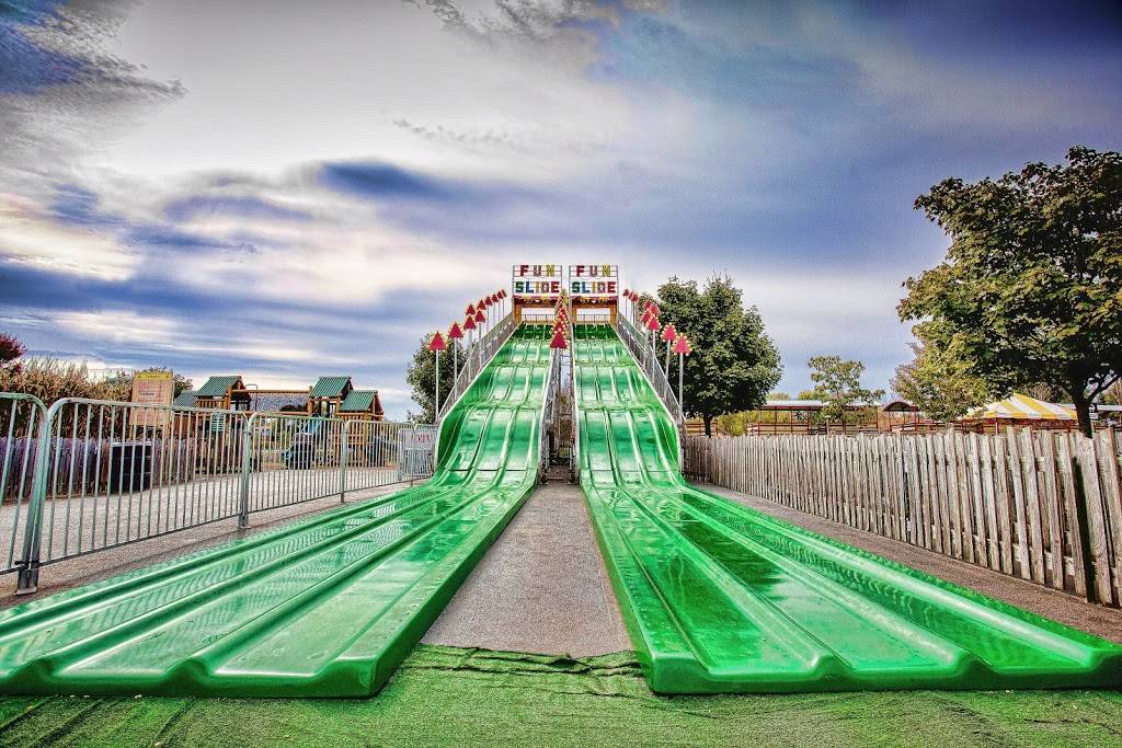 Bengtsons Pumpkin Farm and Fall Fest | meal takeaway | 13341 W 151st St, Homer Glen, IL 60491, USA | 7083013276 OR +1 708-301-3276