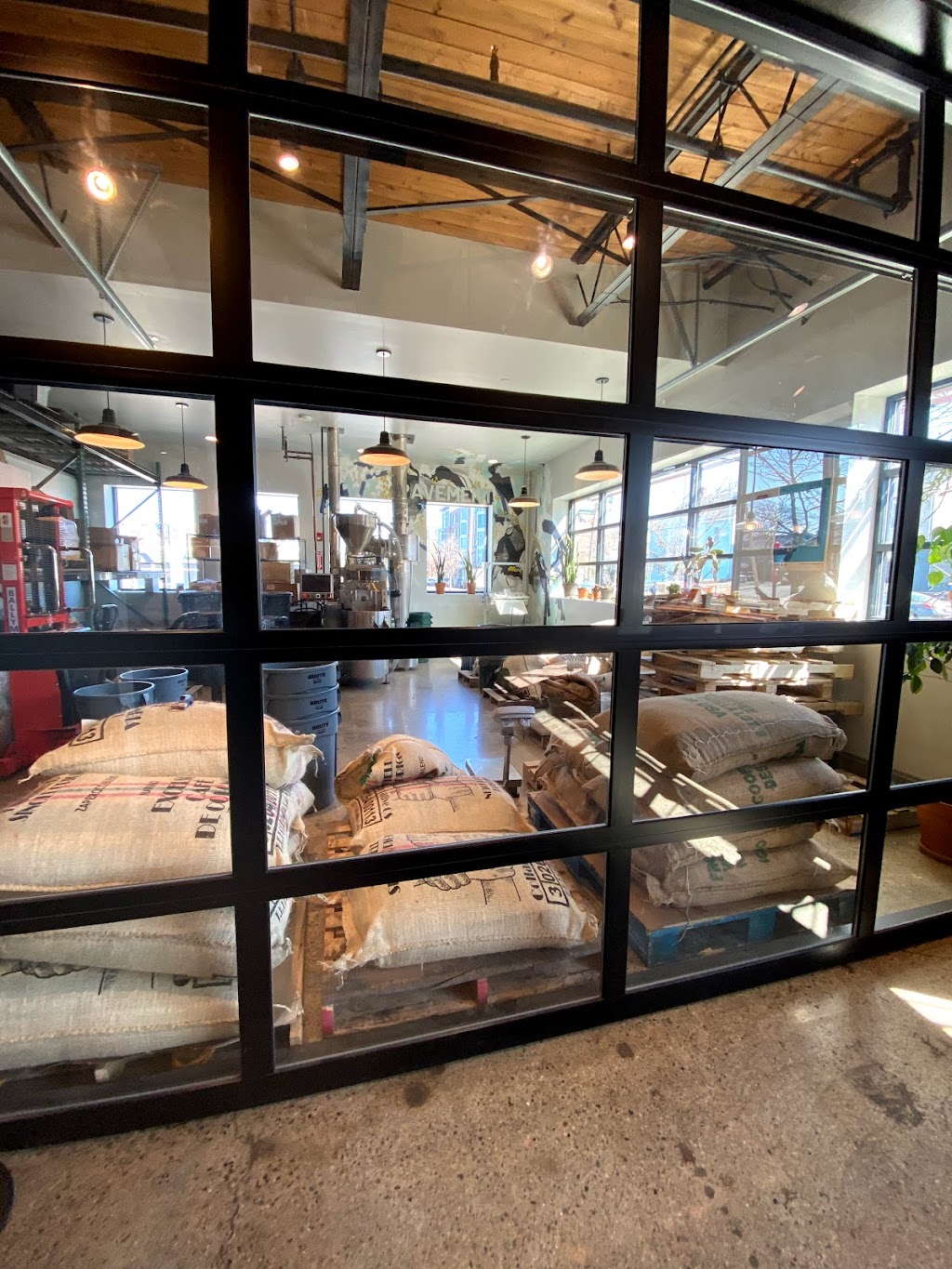 Pavement Coffeehouse | bakery | 415 Western Ave, Brighton, MA 02135, USA | 6177666052 OR +1 617-766-6052