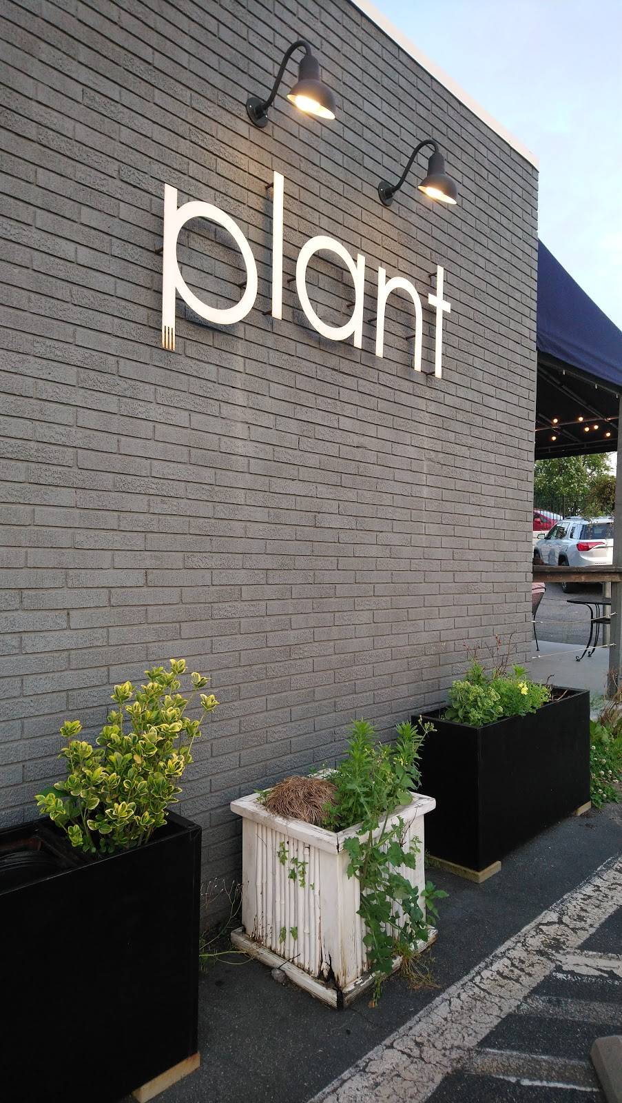 Plant | restaurant | 165 Merrimon Ave, Asheville, NC 28801, USA | 8282587500 OR +1 828-258-7500