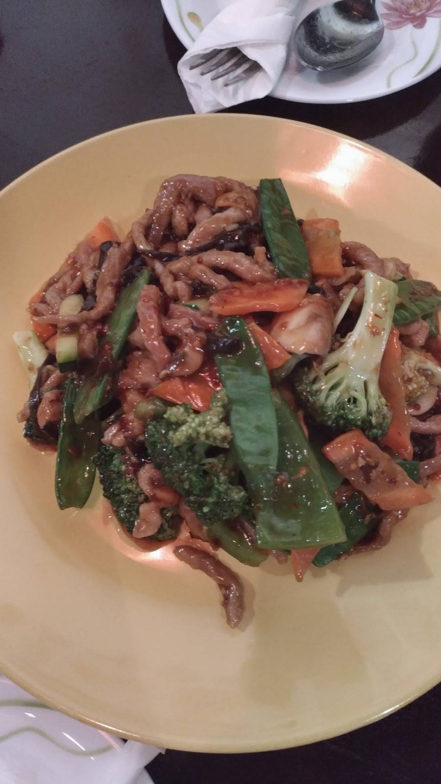 Szechuan Garden | restaurant | 84 Avenue O, Brooklyn, NY 11204, USA | 3477133702 OR +1 347-713-3702