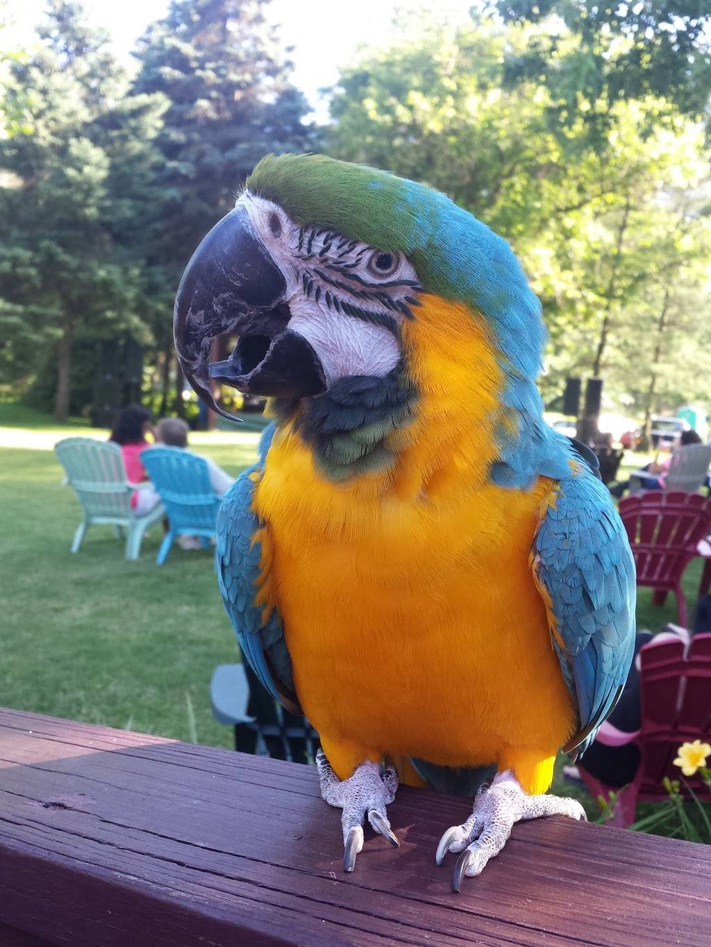 The Boston Waterfront | restaurant | 2422 St David Dr, McKeesport, PA 15135, USA | 4129165532 OR +1 412-916-5532