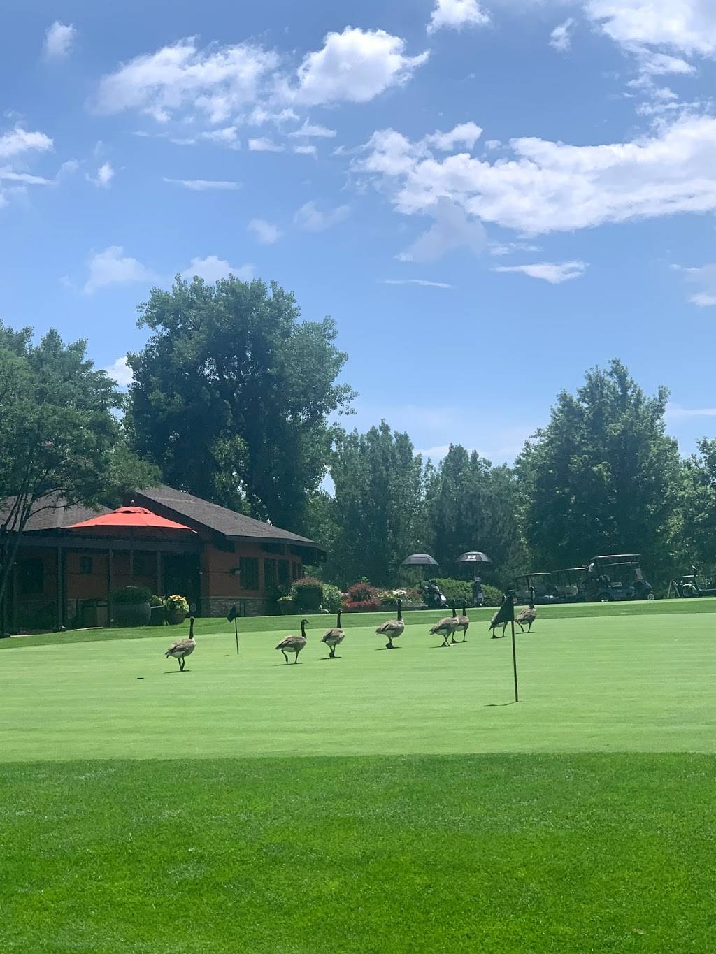 Indian Tree Golf Club | restaurant | 7555 Wadsworth Blvd, Arvada, CO 80003, USA | 3034032542 OR +1 303-403-2542