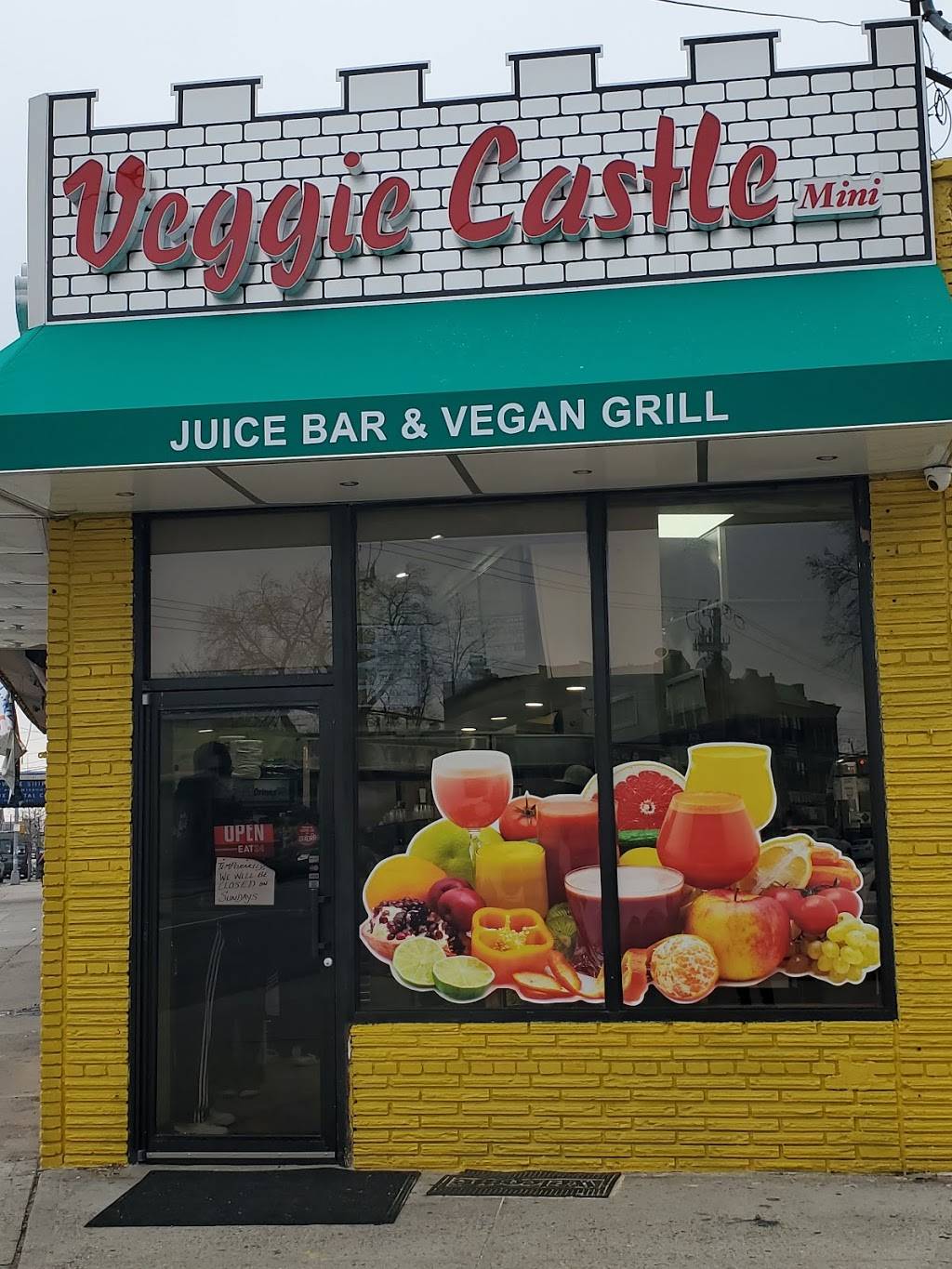 Veggie Castle mini | restaurant | 2085 Flatbush Ave, Brooklyn, NY 11234, USA | 7189754978 OR +1 718-975-4978
