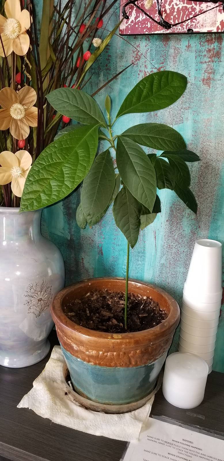 Ukai Hibachi Grill & Sushi Bar Woodlake | restaurant | 2314 Woodlake Dr, Okemos, MI 48864, USA | 5179408400 OR +1 517-940-8400