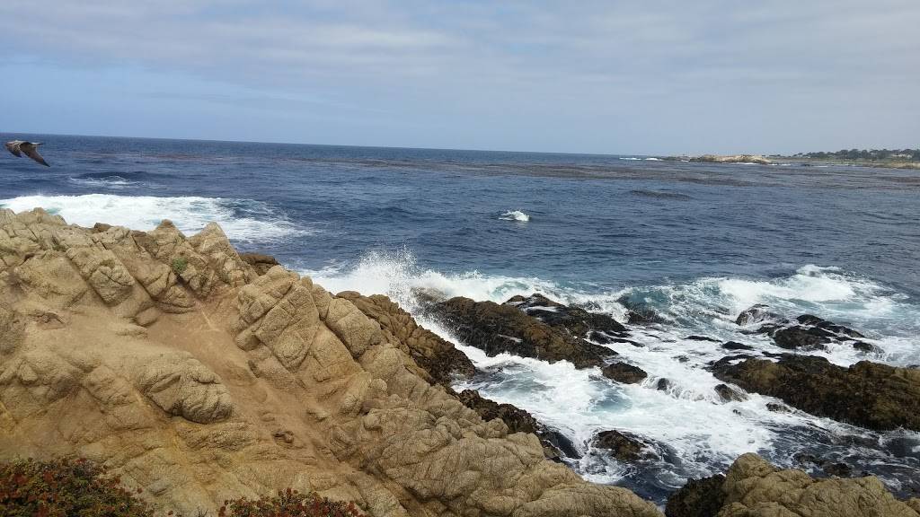 Poppy Hills Golf Course | restaurant | 3200 Lopez Rd, Pebble Beach, CA 93953, USA | 8316251513 OR +1 831-625-1513