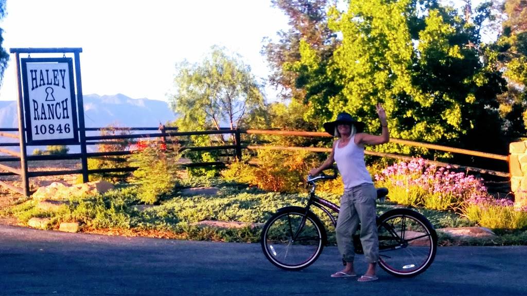 Q Time BBQ Co | restaurant | 445 N Ventura Ave, Oak View, CA 93022, USA | 8055355676 OR +1 805-535-5676