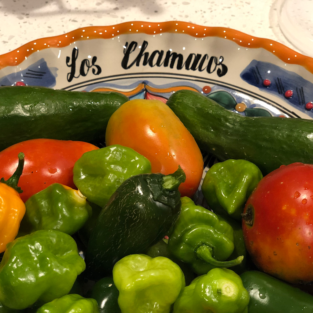 Los chamacos mexican restaurant. | restaurant | 922 S Walter Reed Dr, Arlington, VA 22204, USA | 5712575894 OR +1 571-257-5894