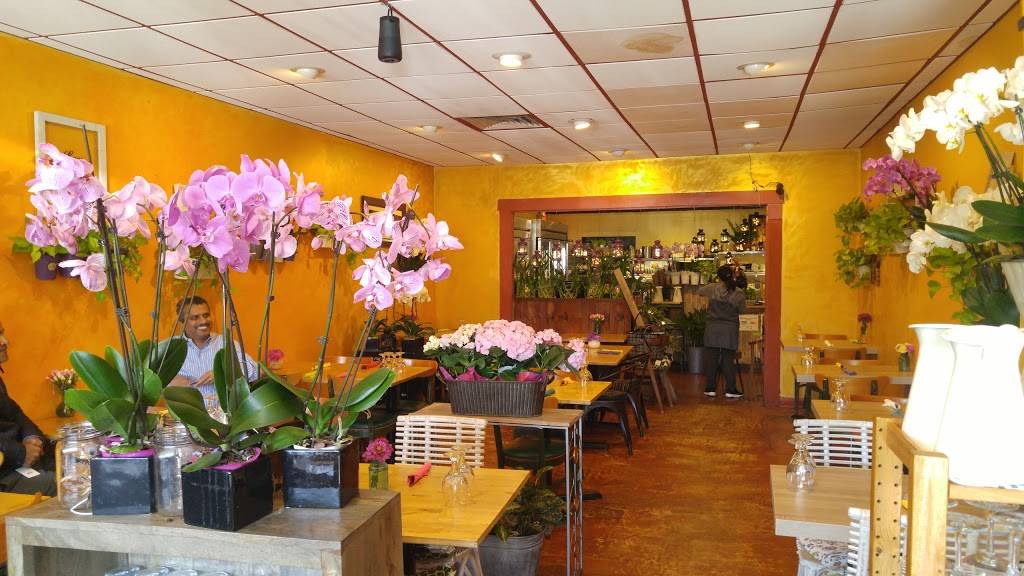 Coco Thai Bistro | restaurant | 231 Haverford Ave, Narberth, PA 19072, USA | 6106677634 OR +1 610-667-7634