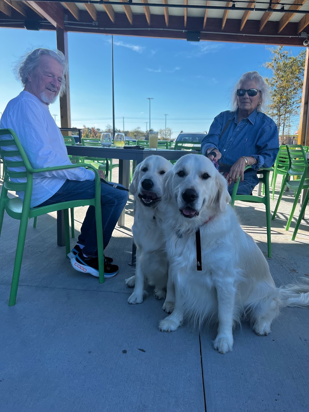 Dog and Duck | restaurant | 2826 US-52, Moncks Corner, SC 29461, USA | 8438095358 OR +1 843-809-5358