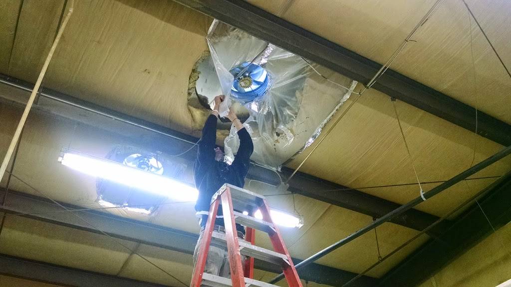 Cafe Elite | restaurant | 10903 26th Ave S, Lakewood, WA 98499, USA | 2535891060 OR +1 253-589-1060