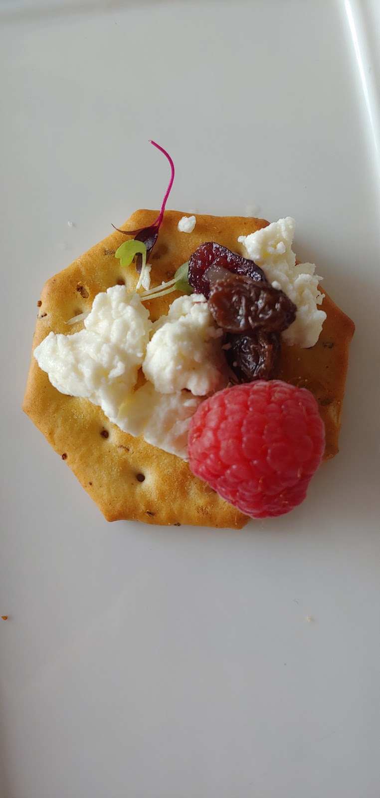 Pancho’s Cantina & Grill | restaurant | 1919 W Main St, Richmond, VA 23220, USA | 8045621664 OR +1 804-562-1664