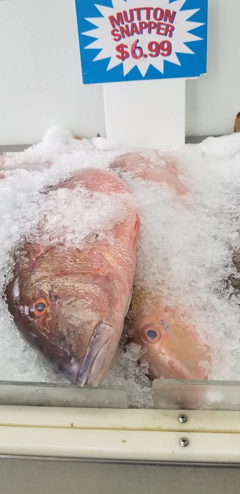 Pescaderia | restaurant | 3114 NW 17th Ave, Miami, FL 33142, USA | 3056361695 OR +1 305-636-1695