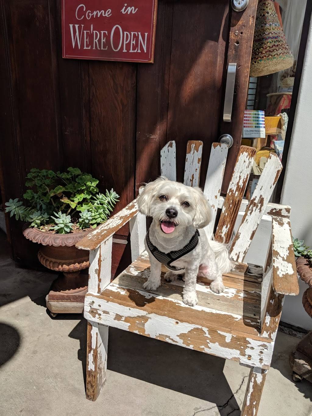 Larchmont Village Wine, Spirits & Cheese | meal takeaway | 223 N Larchmont Blvd, Los Angeles, CA 90004, USA | 3238568699 OR +1 323-856-8699