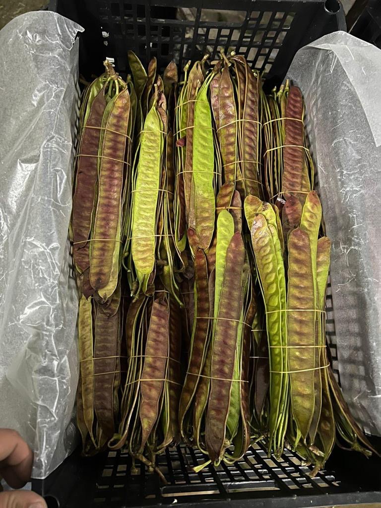 Supermercado El Cajolense | bakery | 810 1st Ave E, Shakopee, MN 55379, USA | 9524458239 OR +1 952-445-8239