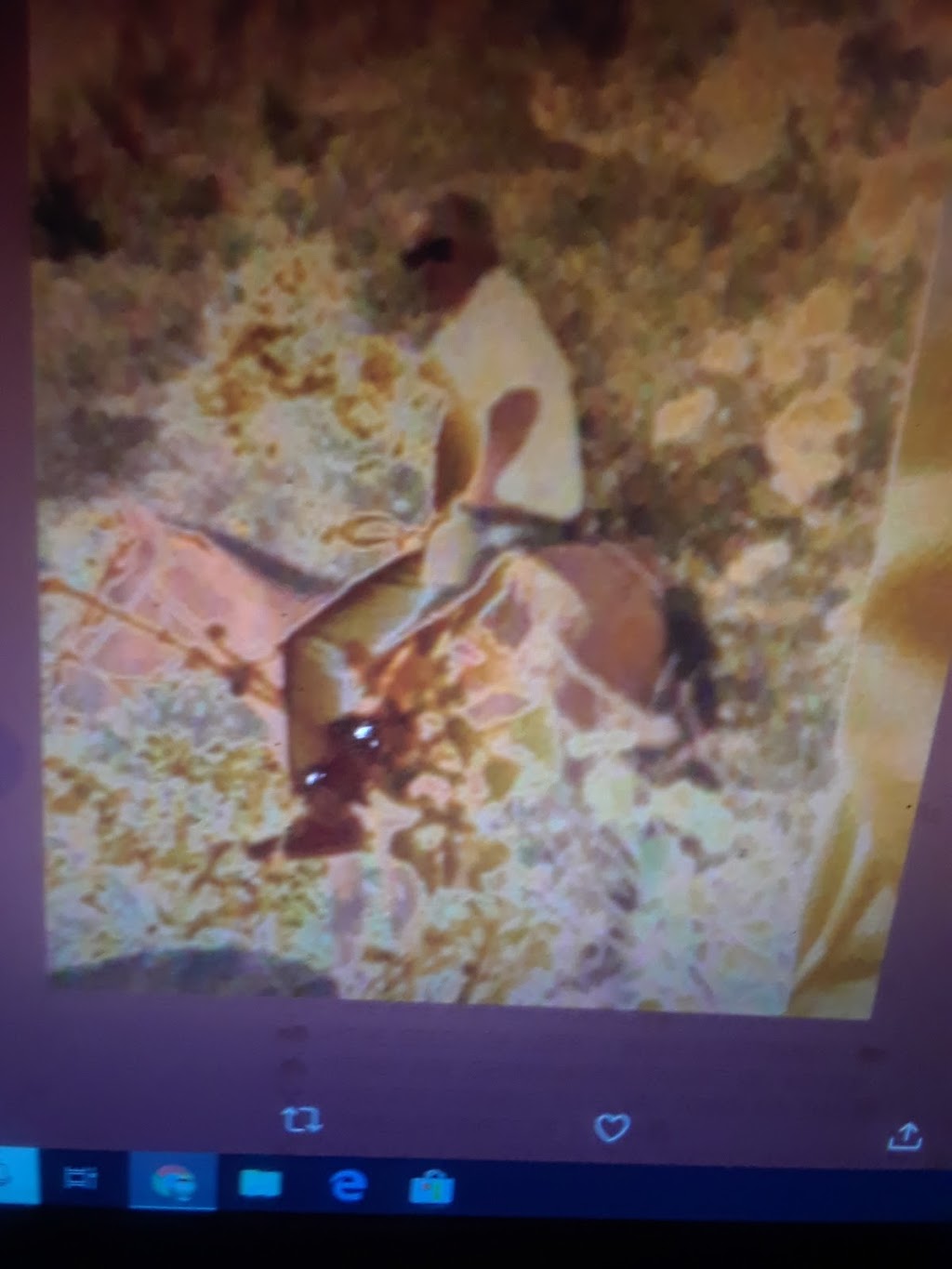 Crazy Chicken restaurant | restaurant | 15030 NE 6th Ave, Miami, FL 33161, USA | 3053547460 OR +1 305-354-7460