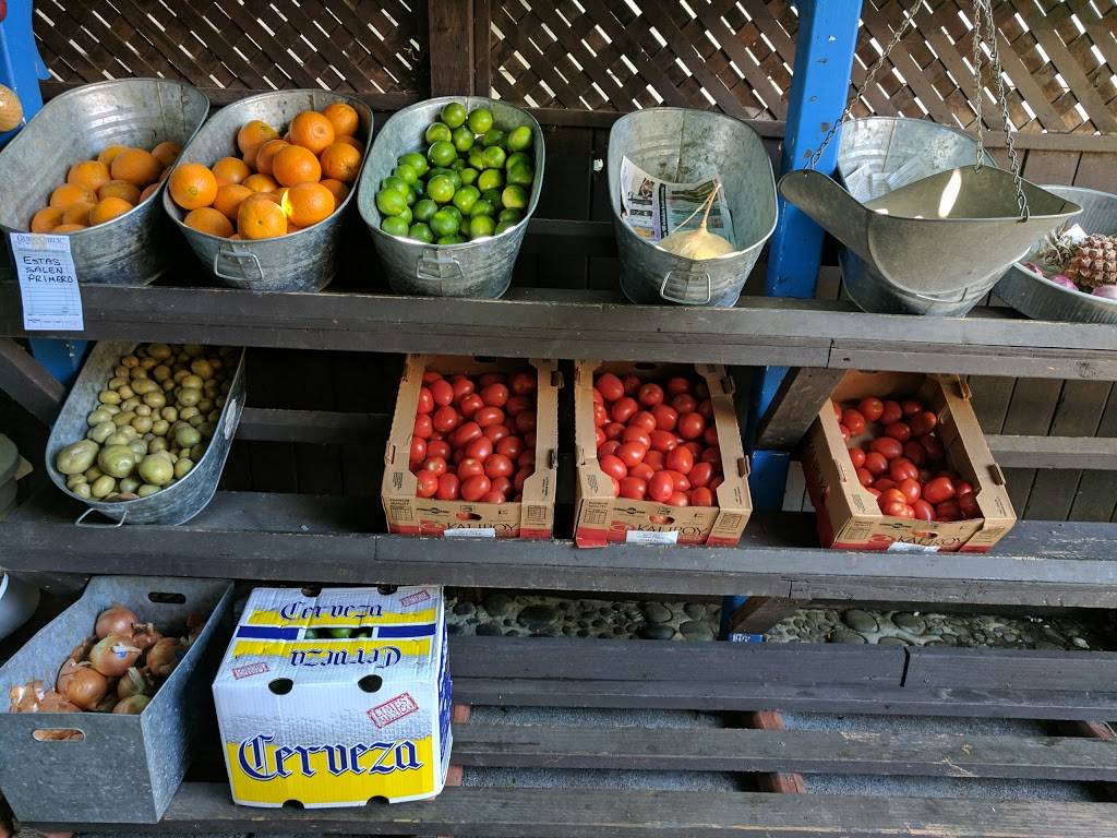 Mexico Lindo | restaurant | 9030 Graton Rd, Graton, CA 95444, USA | 7078234154 OR +1 707-823-4154