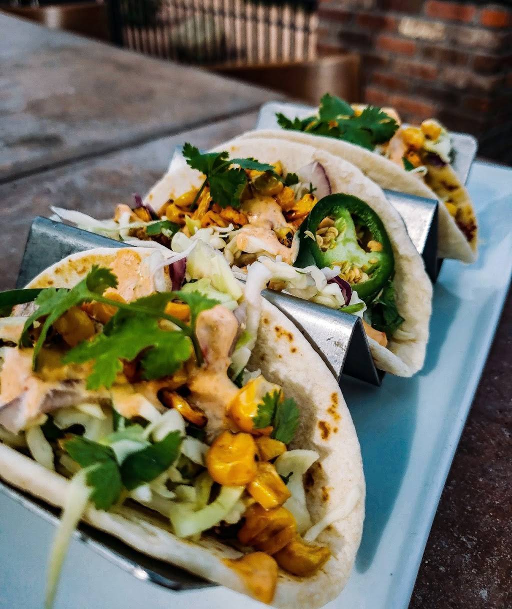 Ginger Monkey Tavern | restaurant | 135 W Ocotillo Rd, Chandler, AZ 85248, USA | 4808026659 OR +1 480-802-6659