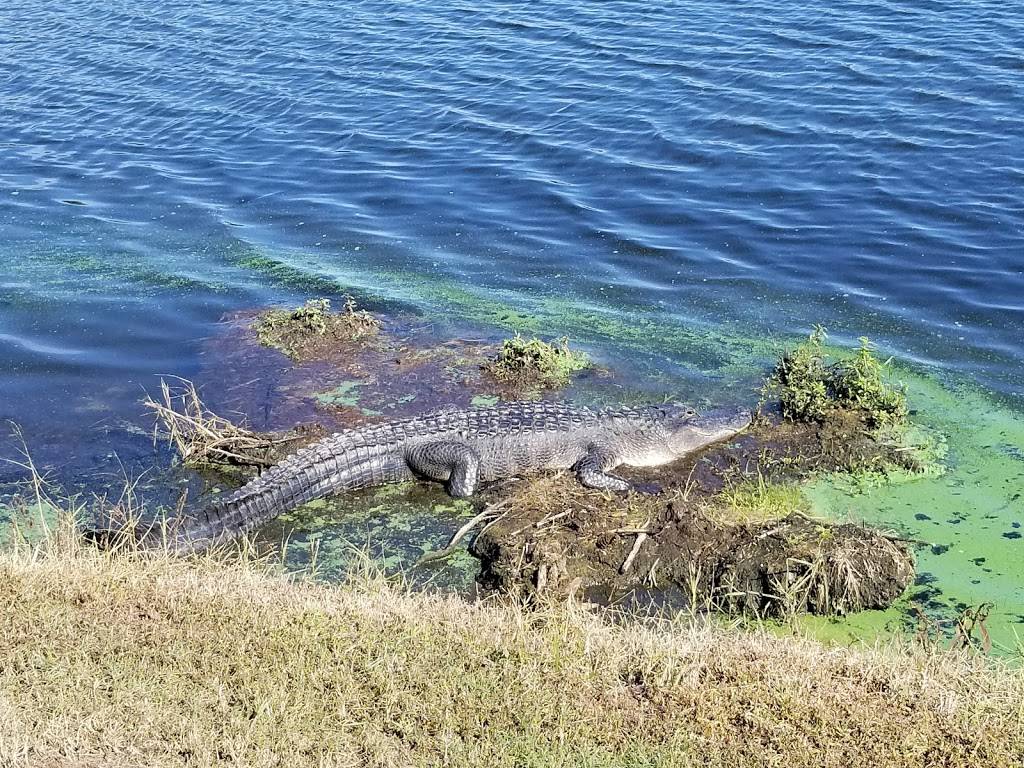 Crescent Oaks Golf Club | restaurant | 3300 Crescent Oaks Blvd, Tarpon Springs, FL 34688, USA | 7279374653 OR +1 727-937-4653