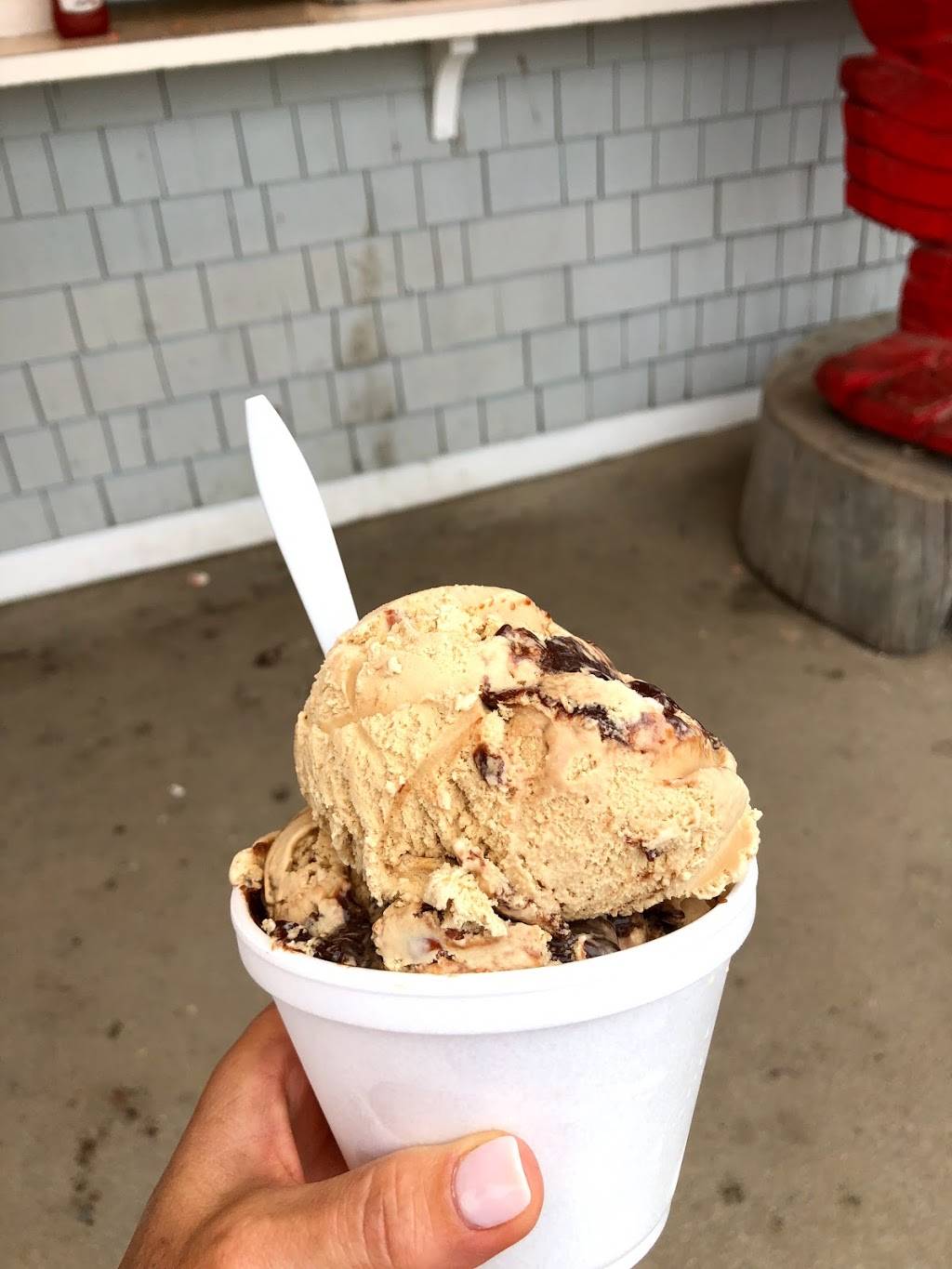 The Beach Plum | restaurant | 16 Ocean Blvd, North Hampton, NH 03862, USA | 6039647451 OR +1 603-964-7451