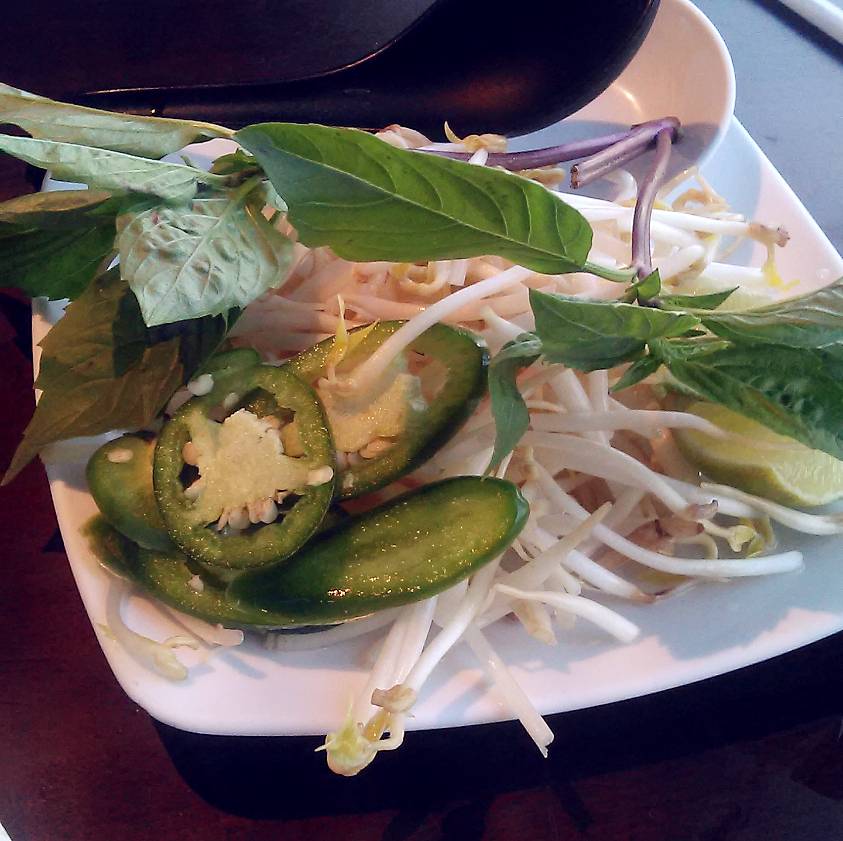 Pho Ha Saigon | restaurant | 575 Adams Ave, Philadelphia, PA 19120, USA | 2675385600 OR +1 267-538-5600