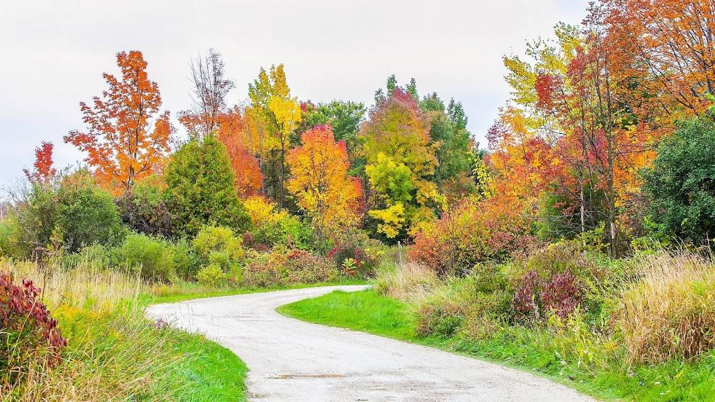 Stone Tree - Golf, Fitness and Banquets | restaurant | 318085 Hwy 6&10, Owen Sound, ON N4K 5N6, Canada | 5193767899 OR +1 519-376-7899