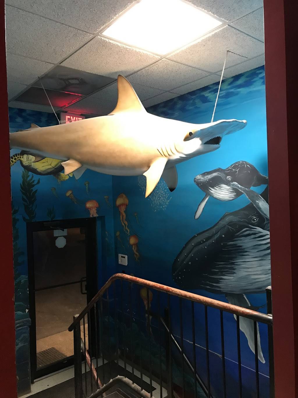 Lombardis Pizza | restaurant | 115 Park St, Vienna, VA 22180, USA | 7032425901 OR +1 703-242-5901