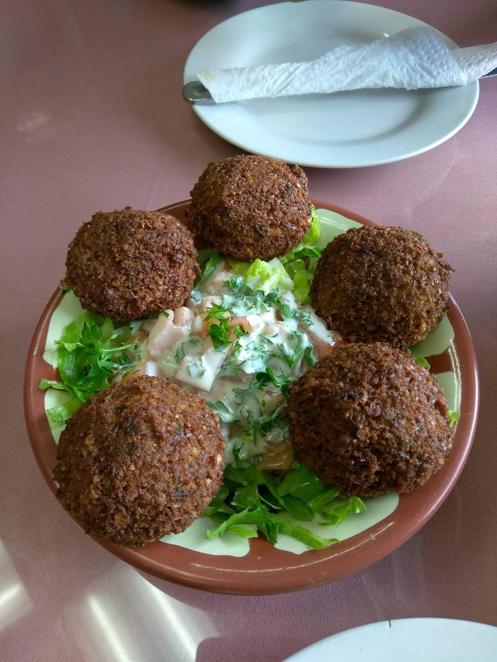 Tanyas Lebanese Kabab | restaurant | 915 W Foothill Blvd, Upland, CA 91786, USA | 9099492200 OR +1 909-949-2200