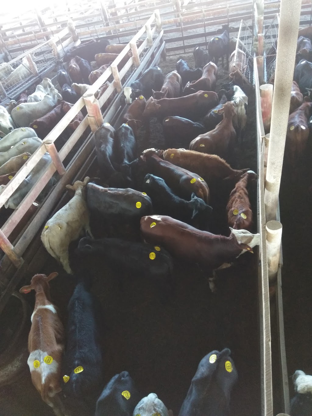 Old Cattle Baron | restaurant | 3418 N Closner Blvd, Edinburg, TX 78541, USA | 9563832220 OR +1 956-383-2220