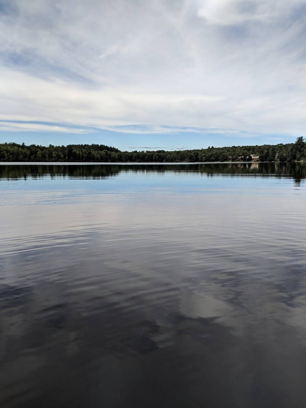 New China | restaurant | 1148 NY-52, Loch Sheldrake, NY 12759, USA | 8454343950 OR +1 845-434-3950