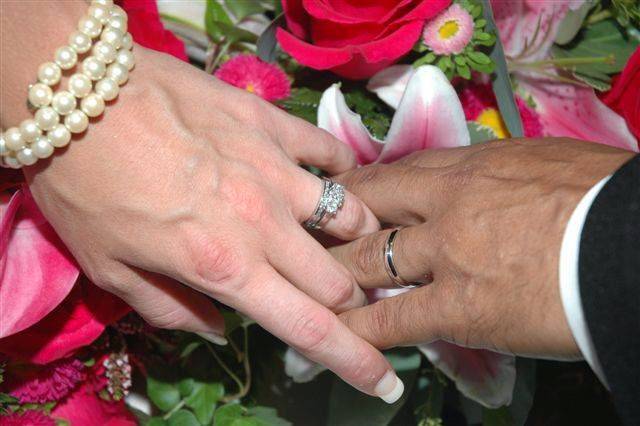 All Occasions Catering | restaurant | 428 Northmoor Ave N, St. Petersburg, FL 33702, USA | 7272048762 OR +1 727-204-8762