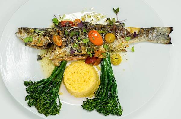 A Fish Called Avalon | restaurant | 700 Ocean Dr, Miami Beach, FL 33139, USA | 3055321727 OR +1 305-532-1727