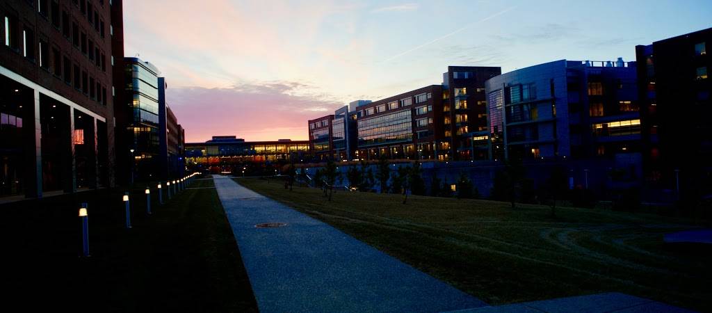 FDA Cafe | cafe | 10903 New Hampshire Ave, Silver Spring, MD 20903, USA | 3015722316 OR +1 301-572-2316