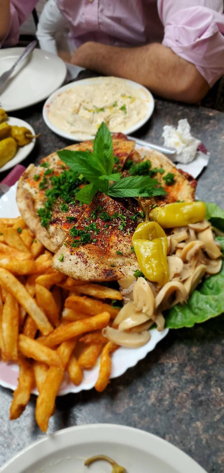 Hamido | restaurant | 13251 W Warren Ave, Dearborn, MI 48126, USA | 3135820660 OR +1 313-582-0660