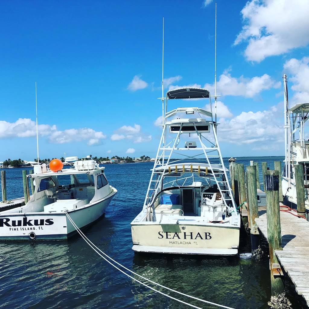 Island Seafood Market | restaurant | 4330 Pine Island Rd, Matlacha, FL 33993, USA | 2392832525 OR +1 239-283-2525