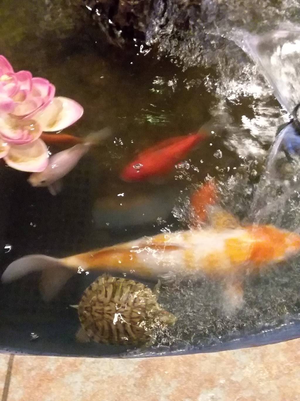 Kings Wok Buffet | restaurant | 3324 US-11 #6, Malone, NY 12953, USA | 5184831666 OR +1 518-483-1666