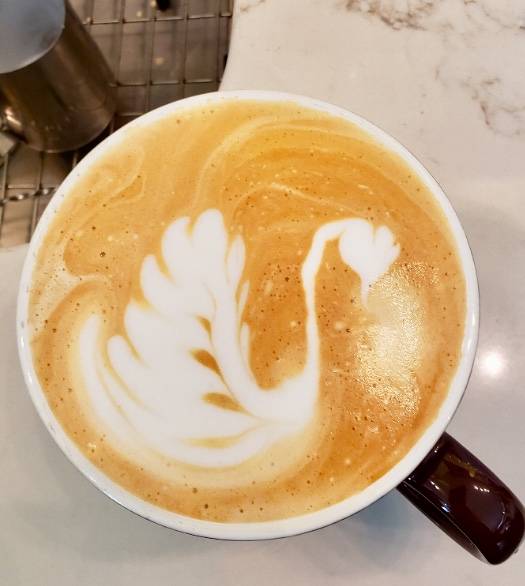 Evergreen Eatery & Cafe | cafe | 154 Green St, Jamaica Plain, MA 02130, USA | 6174779573 OR +1 617-477-9573