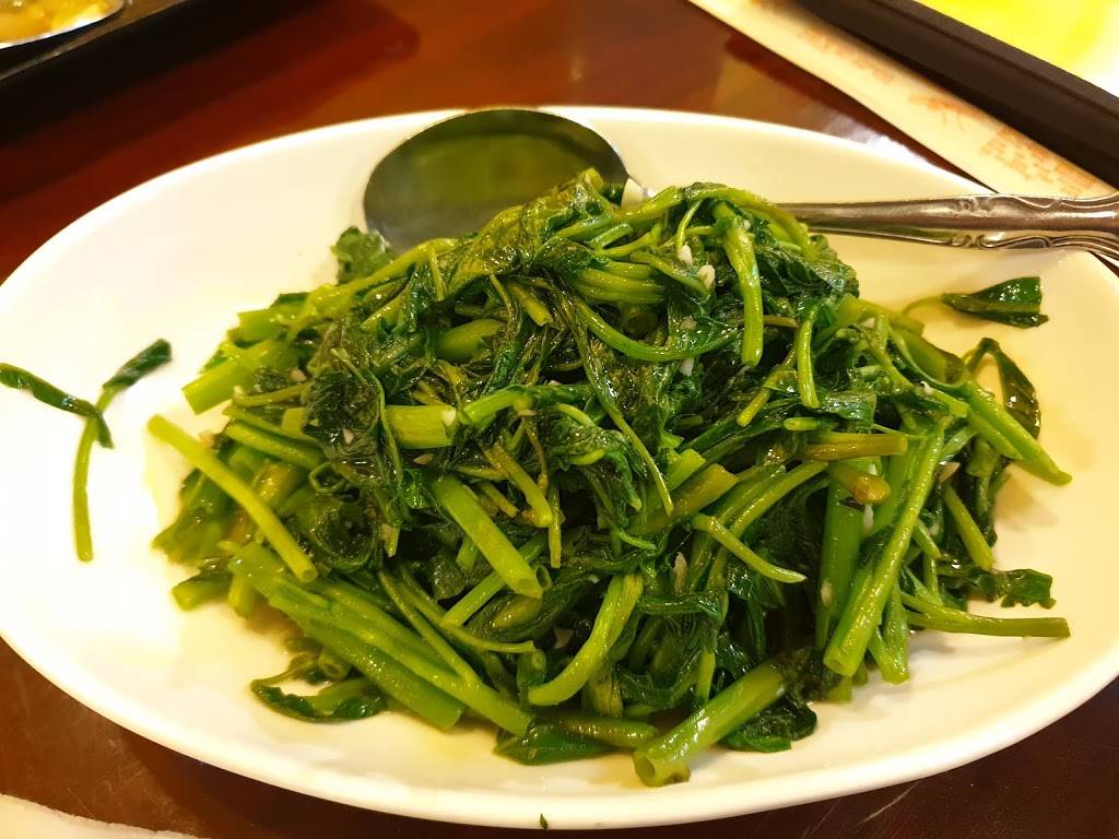 Sapporo Ramen & Grill | restaurant | 280 Legacy Dr #106c, Plano, TX 75023, USA | 9729430603 OR +1 972-943-0603