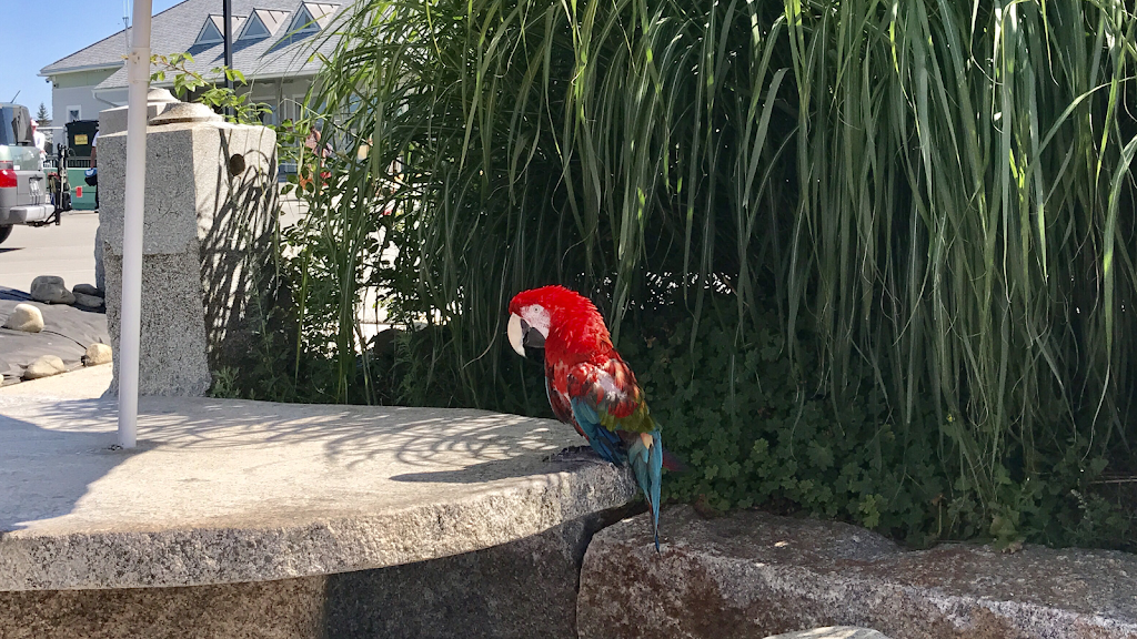 Thai Tugboat | restaurant | 525Main St, Rockland, ME 04841, USA | 2076916800 OR +1 207-691-6800