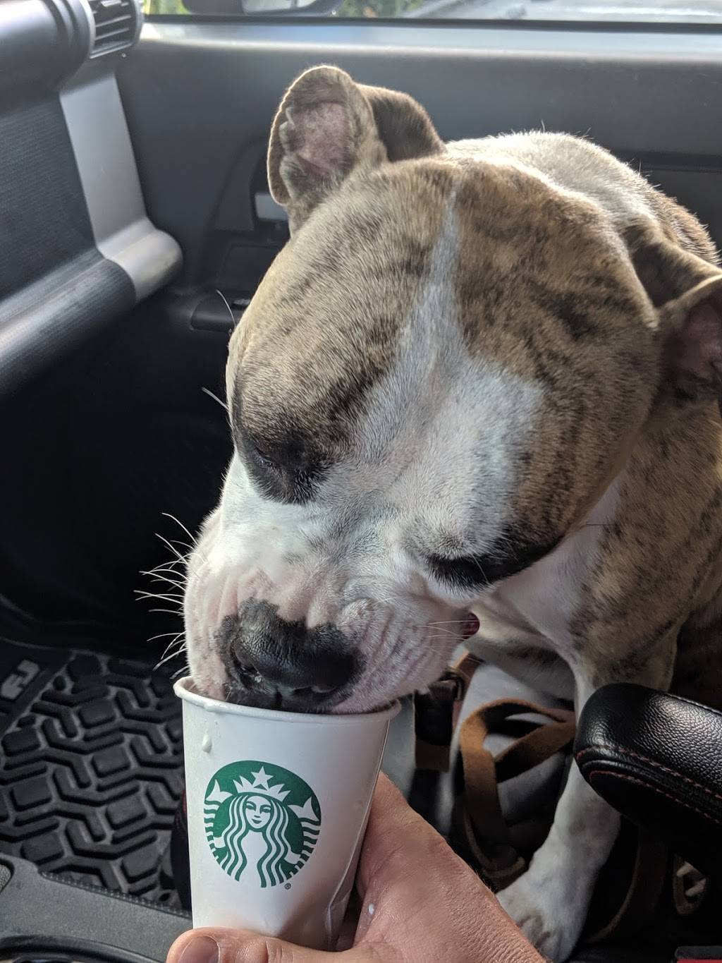 Starbucks | cafe | 1427 Pine Ridge Rd #101, Naples, FL 34109, USA | 2395141388 OR +1 239-514-1388